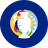 Copa America badge