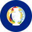 Copa America badge